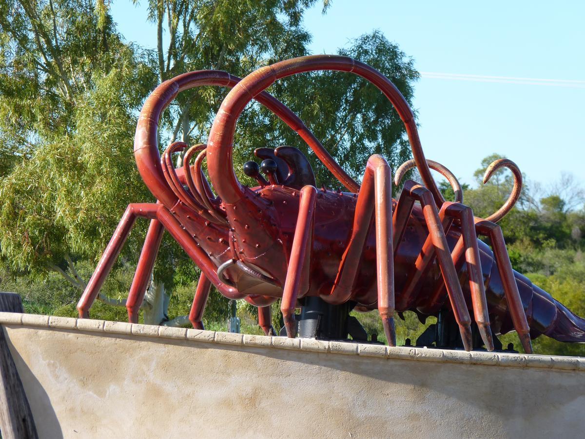 Leander Reef Holiday Park Port Denison Extérieur photo